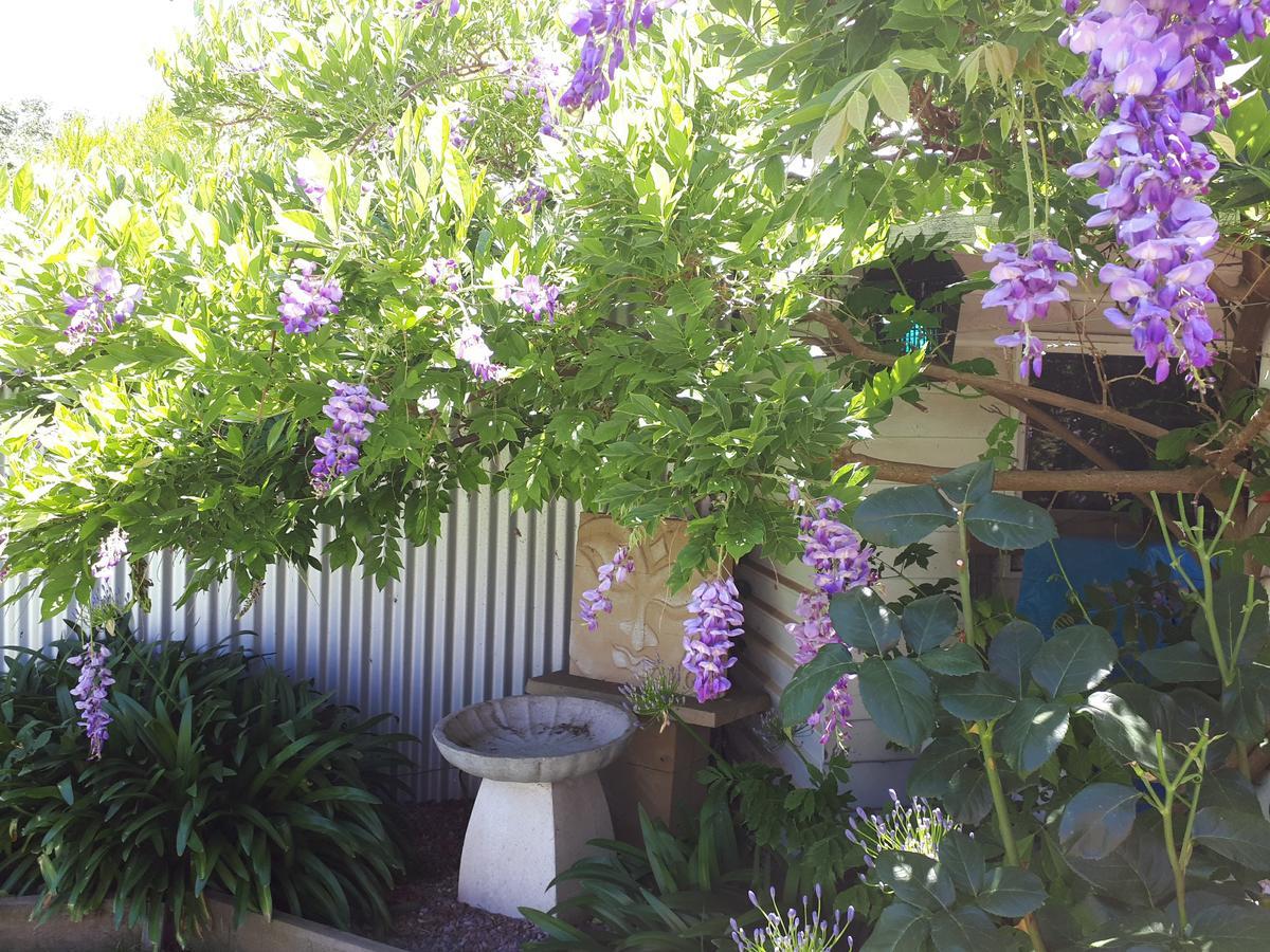 The Bohemian Art Studio Creswick Extérieur photo